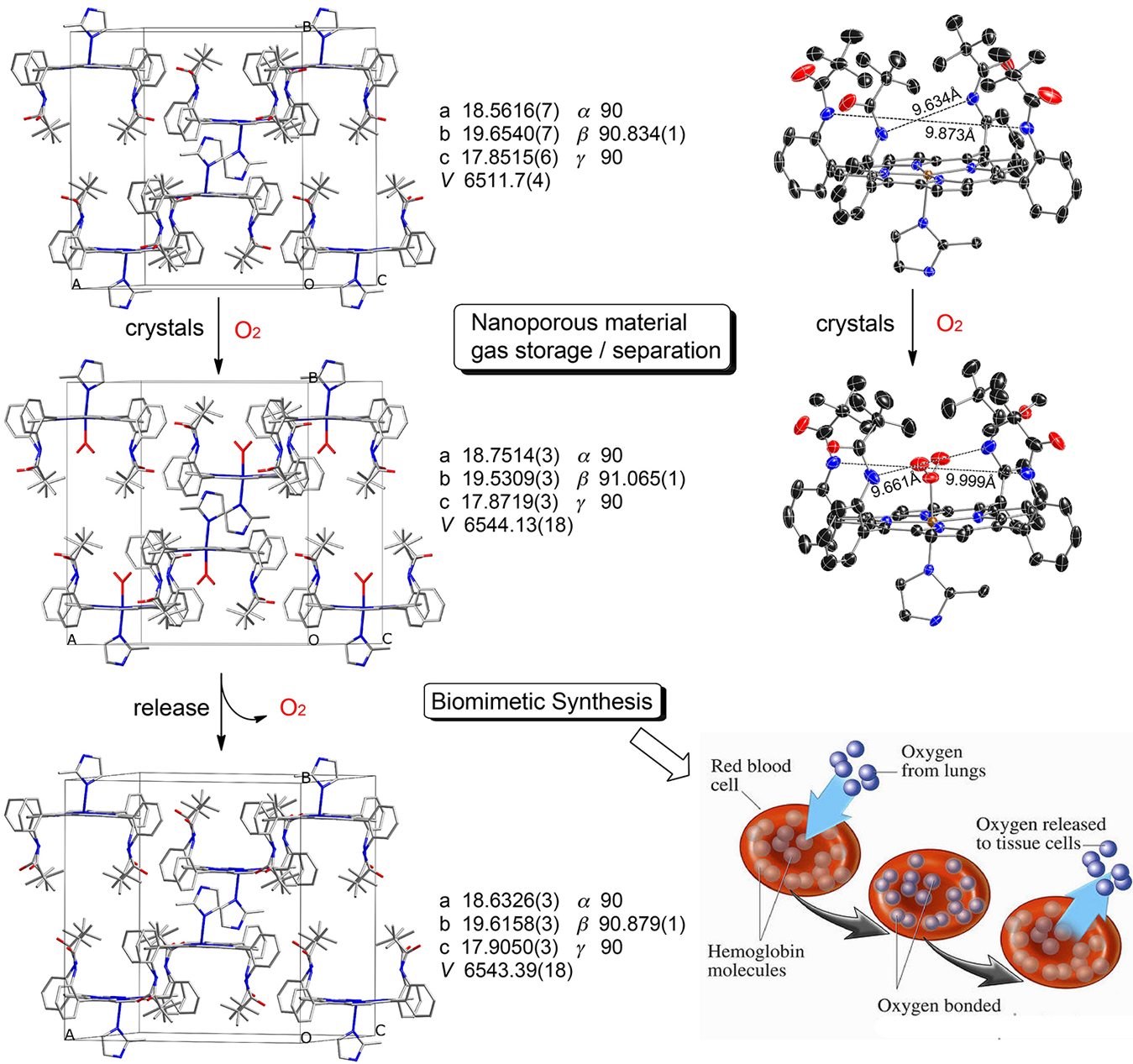 heme model